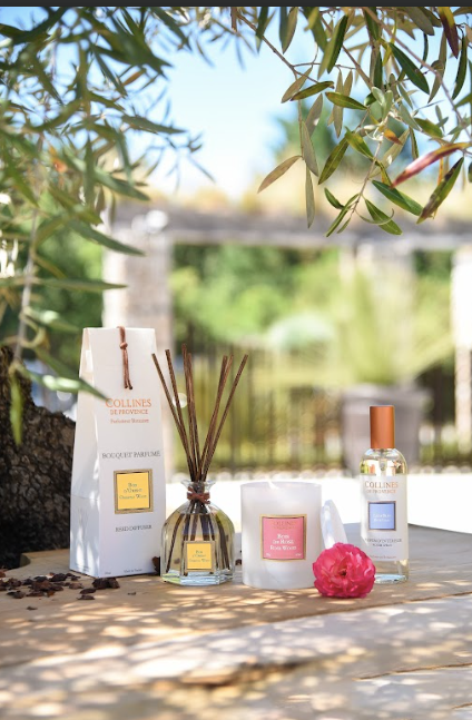 CDP Oriental Wood - Reed Diffuser