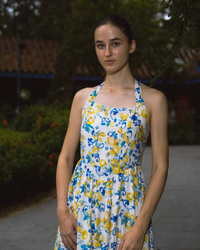 CARNATION DRESS