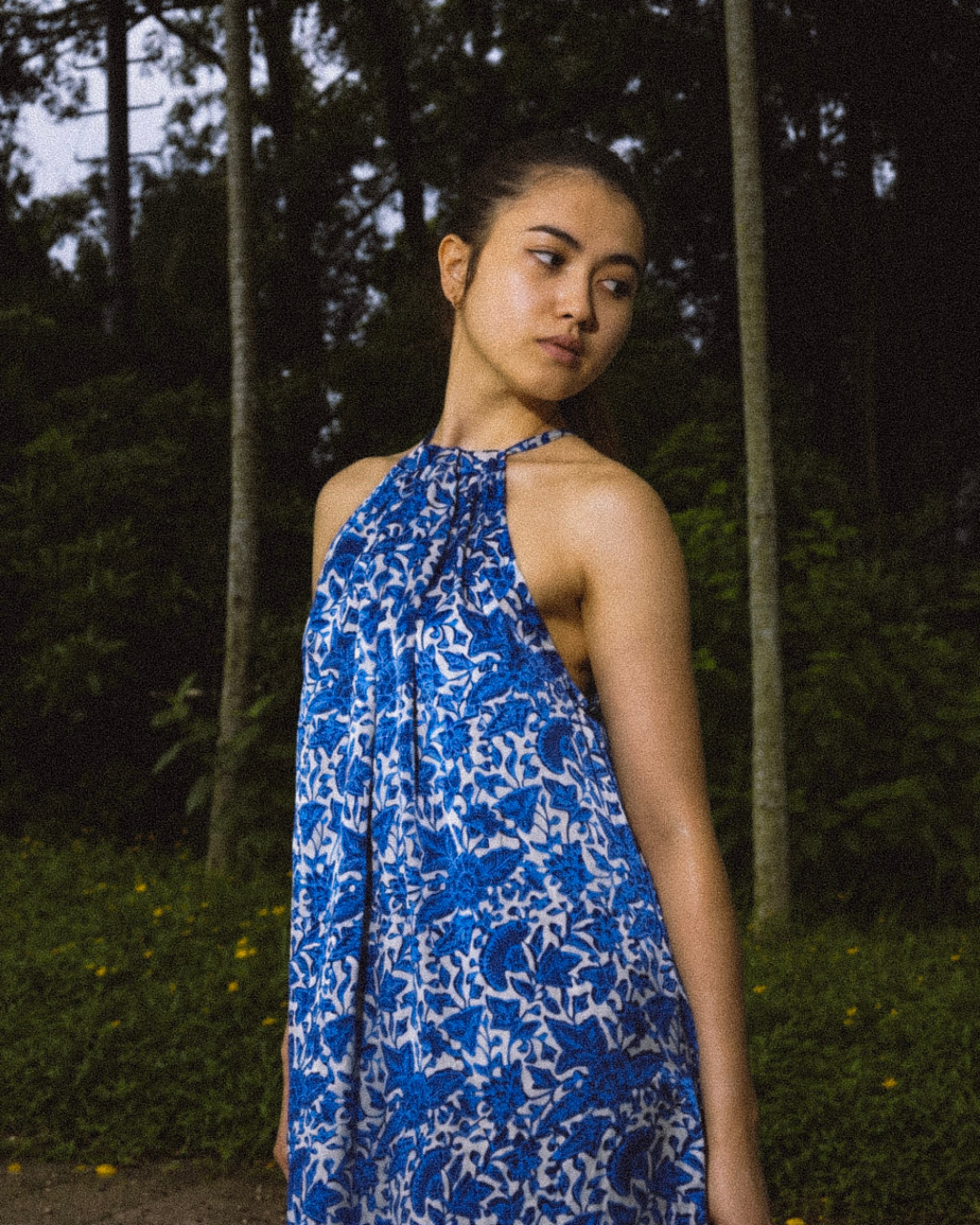 KIRANA SILK LONG DRESS