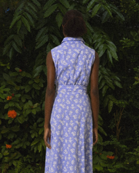 Vespera Dress