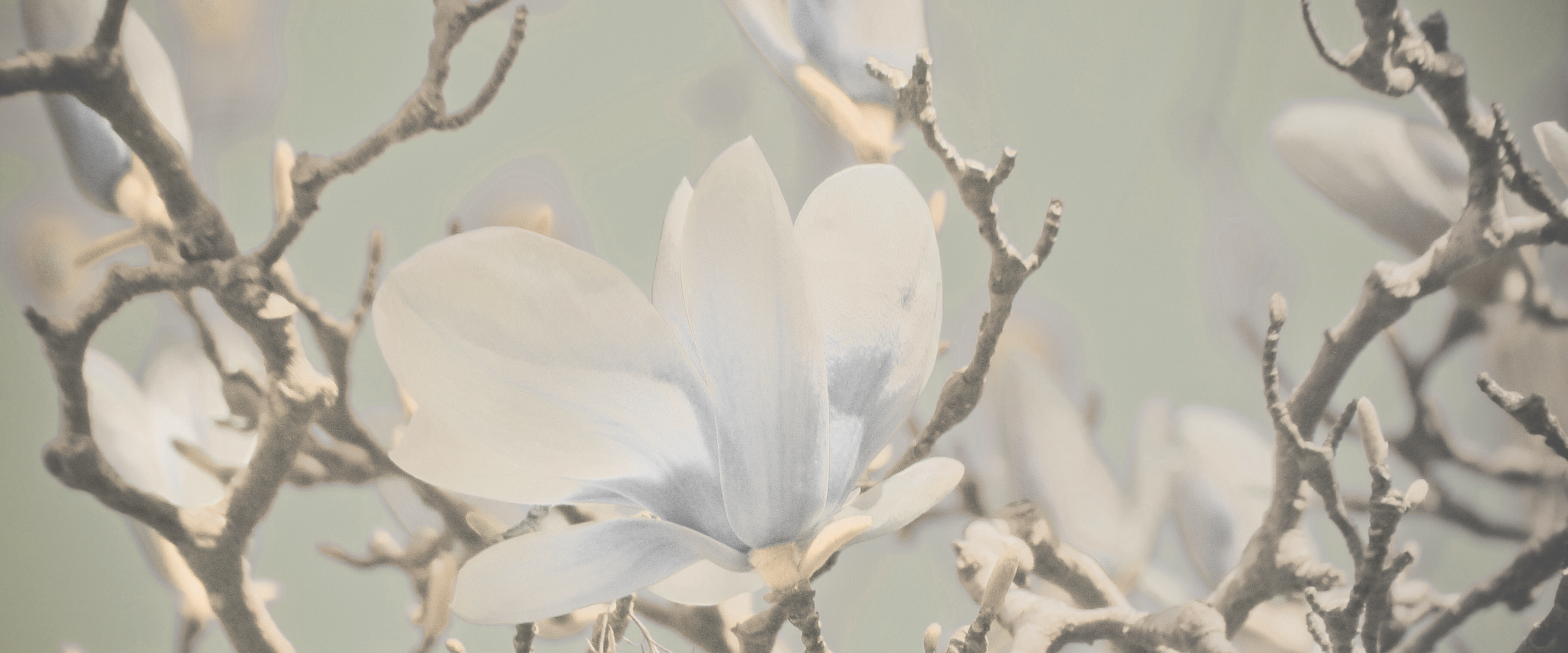 B481C772-CA07-45B1-BFF8-390E1797F4BC.png