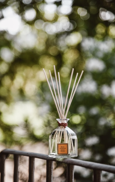 CDP Orange Blossom - Reed Diffuser