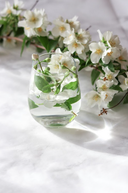 CDP White Tea & Jasmine - Reed Diffuser