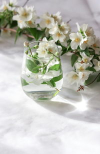 CDP White Tea & Jasmine - Room Spray