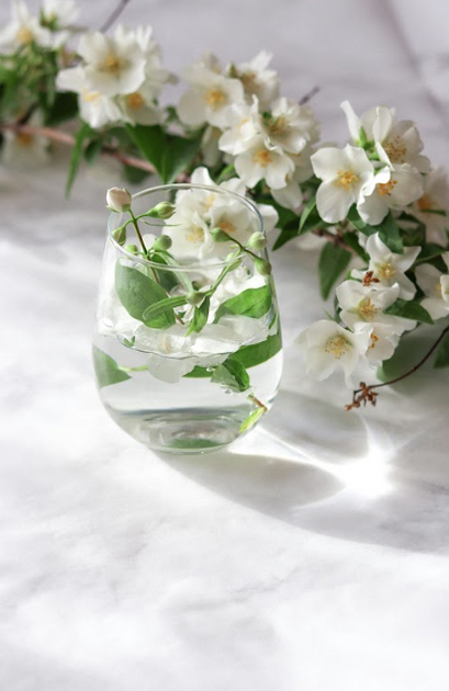 CDP White Tea & Jasmine - Room Spray