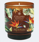 CDP Bird Of Paradise - Candle