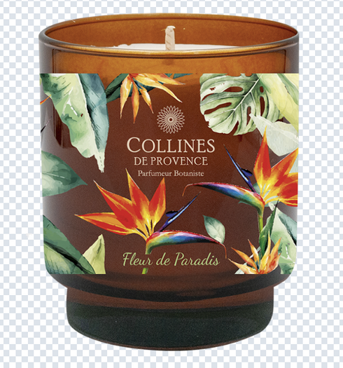 CDP Bird Of Paradise - Candle