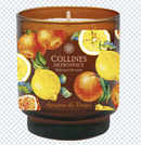CDP Citrus - Candle