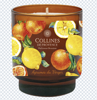 CDP Citrus - Candle