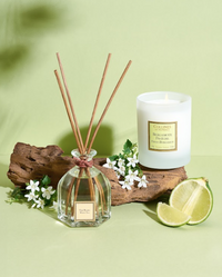 CDP Fresh Bergamote - Candle