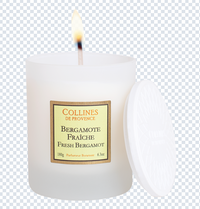 CDP Fresh Bergamote - Candle